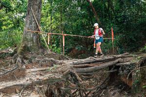 BIB: 
                            <button type="button" onclick="openModal(27801054)" class="btn btn-primary btn-sm float-right btn-popup" data-toggle="modal" data-target=".modal-high-quality">
                        <i class="fas fa-shopping-cart"></i> Add to Cart
                    </button>
                                            <button type="button" onclick="isThisMe(27801054, true)" class="btn btn-success btn-sm float-right btn-popup btn-isme hidden" data-toggle="tooltip" data-placement="bottom" title="นี่คือรูปของคุณใช่ไหม คลิกที่นี่เพื่อเอาเข้าอัลบั้ม">
                        <i class="fas fa-plus"></i> Add to album
                    </button>
                    <button type="button" onclick="isThisMe(27801054, false)" class="btn btn-warning btn-sm float-right btn-popup btn-isnotme hidden">
                        <i class="fas fa-ban"></i> Remove from album
                    </button>